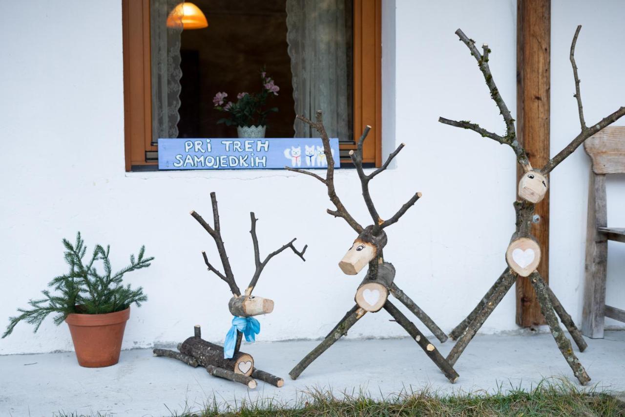 Bovec Home At Three Samoyeds Soča Εξωτερικό φωτογραφία