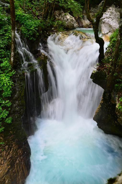 Bovec Home At Three Samoyeds Soča Εξωτερικό φωτογραφία