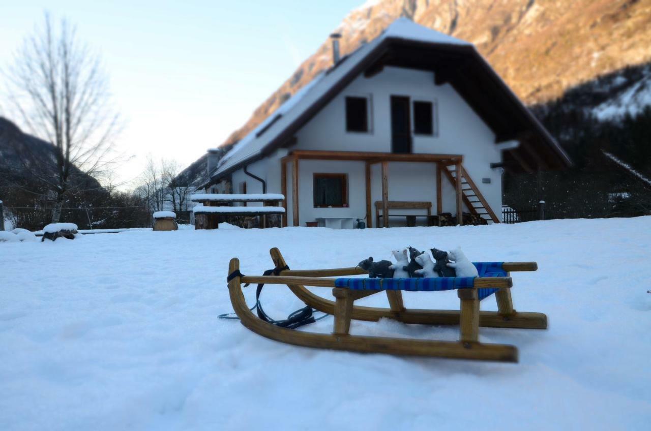 Bovec Home At Three Samoyeds Soča Εξωτερικό φωτογραφία