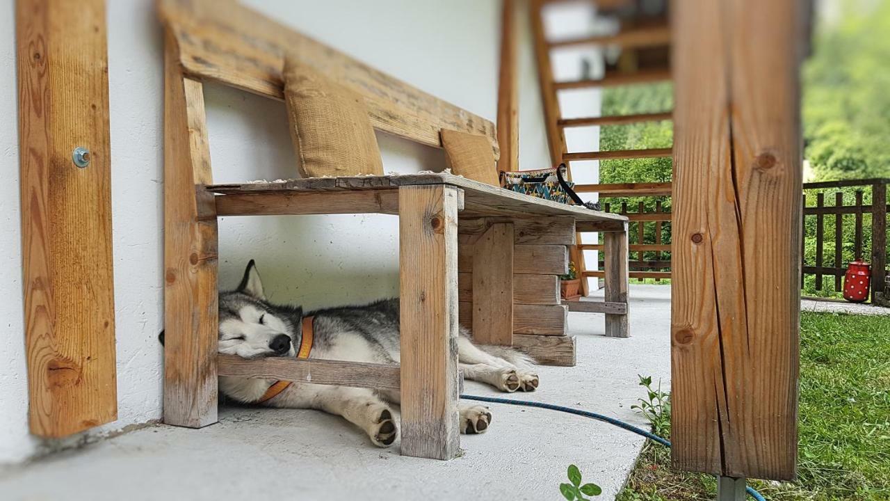 Bovec Home At Three Samoyeds Soča Εξωτερικό φωτογραφία